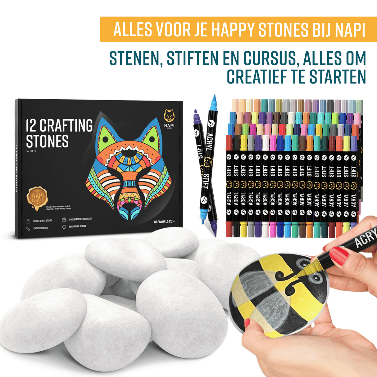 NAPI Happy Stones – Set van 12 Witte Schilderstenen – Inclusief Cursus
