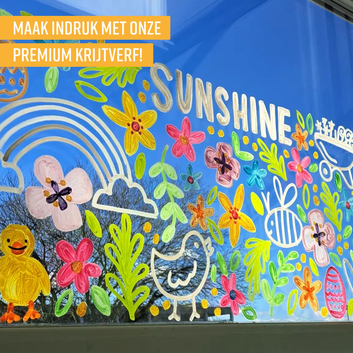 NAPI Krijtstiften – Omkeerbare Punt – Set van 12