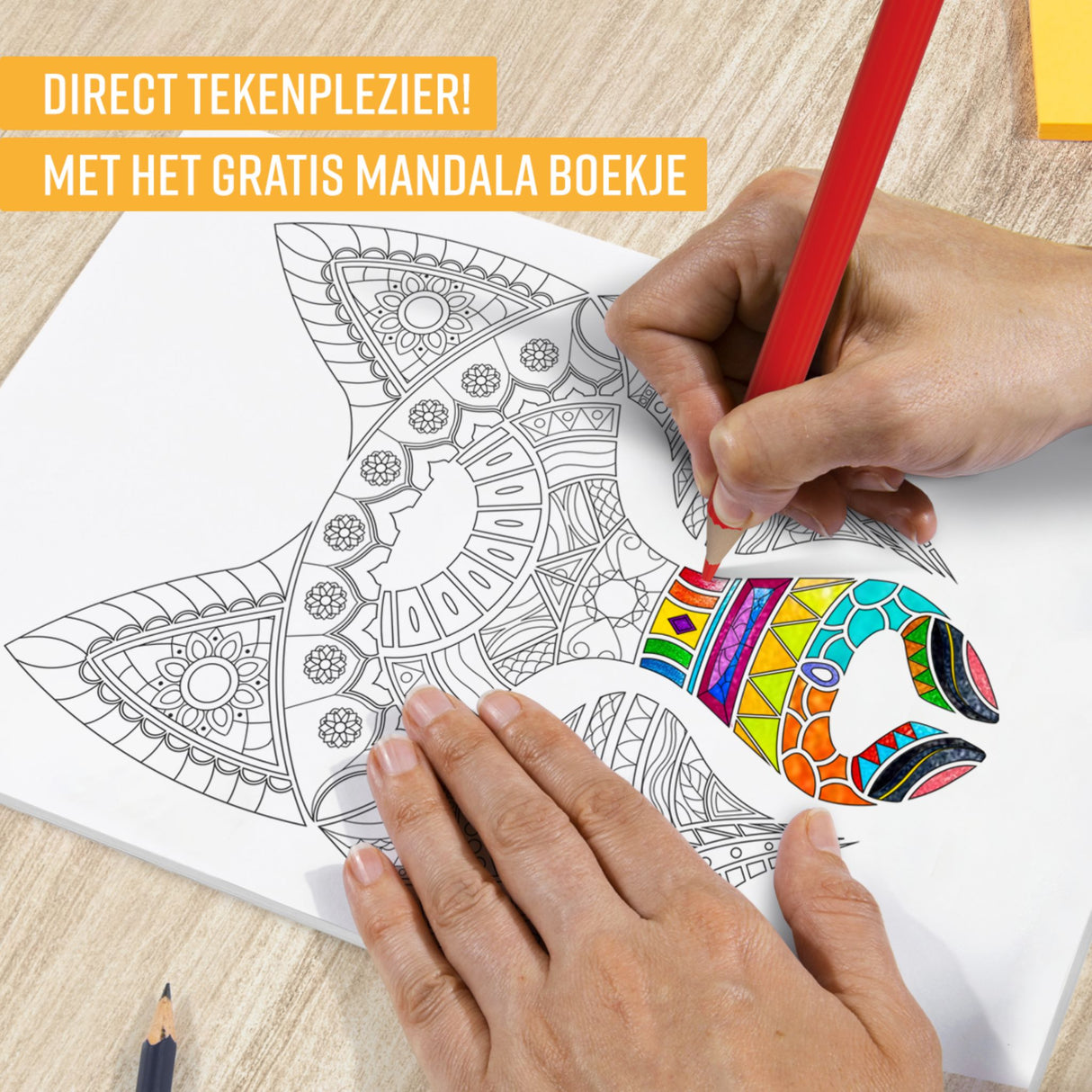 NAPI 72 Kleurpotloden - Oliebasis Tekenset met Luxe Accessoires