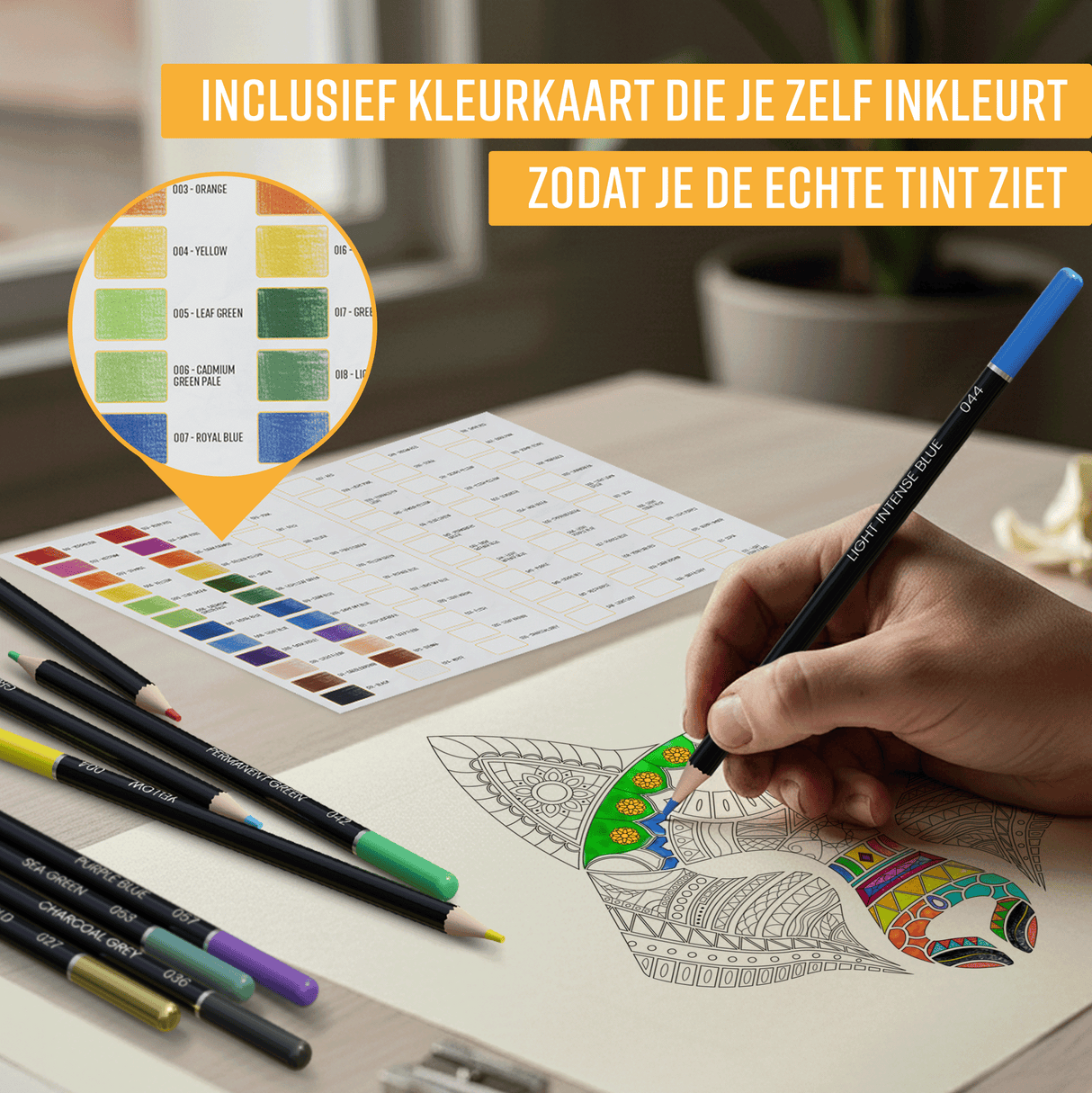 NAPI Kleurpotloden - Oliebasis - Professionele Set van 72 Kleuren