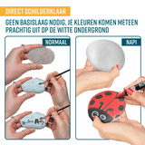 NAPI Happy Stones – Set van 12 Witte Schilderstenen – Inclusief Cursus
