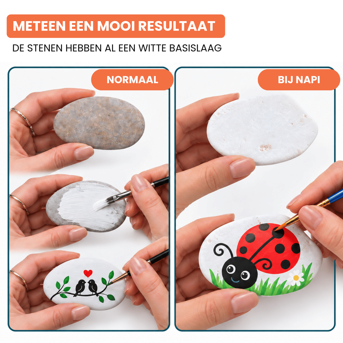 Gewone steen naast een Napi steen met witte basislaag, waarop een lieveheersbeestje is geschilderd met witte basis laag
